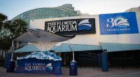 Florida Aquarium named one of the best in U.S. for 5th year in a row