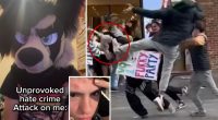 'Furry' kicked in the face, beaten in brutal 'hate crime' bashing