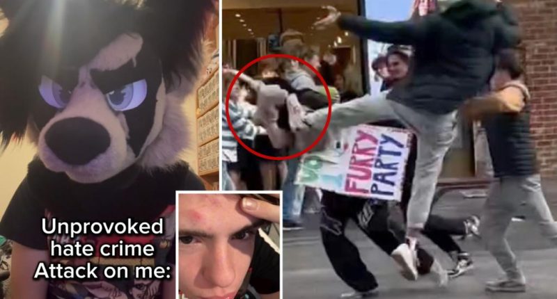 'Furry' kicked in the face, beaten in brutal 'hate crime' bashing