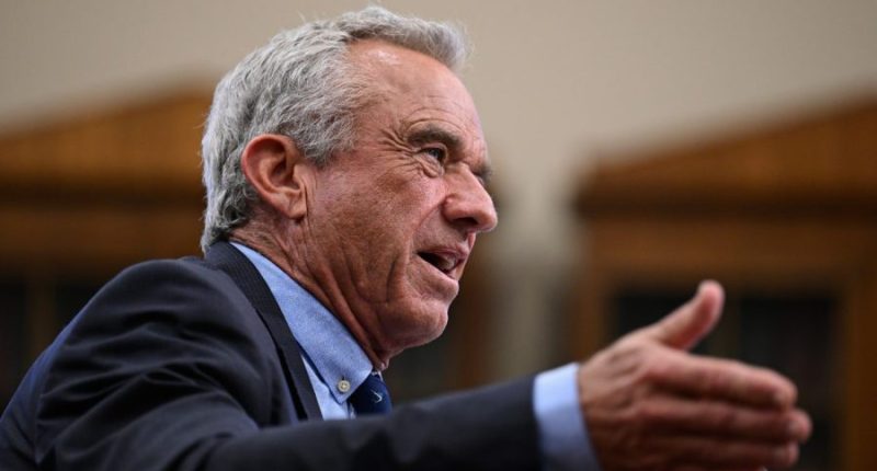 GOP lawmakers bring constituent concerns to RFK Jr. at budget hearing