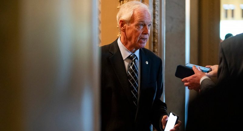 GOP senators say Trump's ‘big beautiful bill’ needs spending cuts