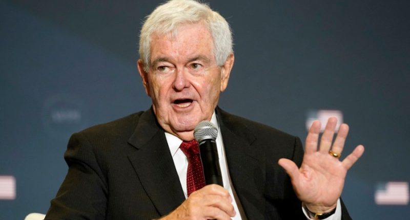 Gingrich praises Trump for extending olive branch to Syria