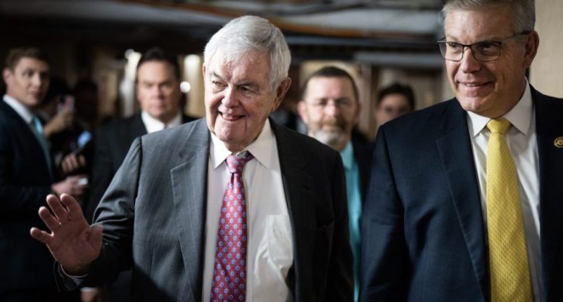 Gingrich presses Senate GOP to advance Trump agenda: ‘Keep moving’