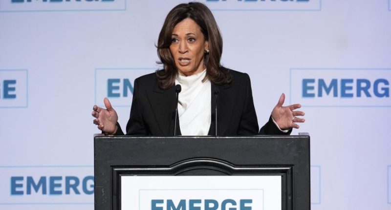 Harris accuses Trump administration of ‘wholesale abandonment’ of ‘America’s highest ideals’ 