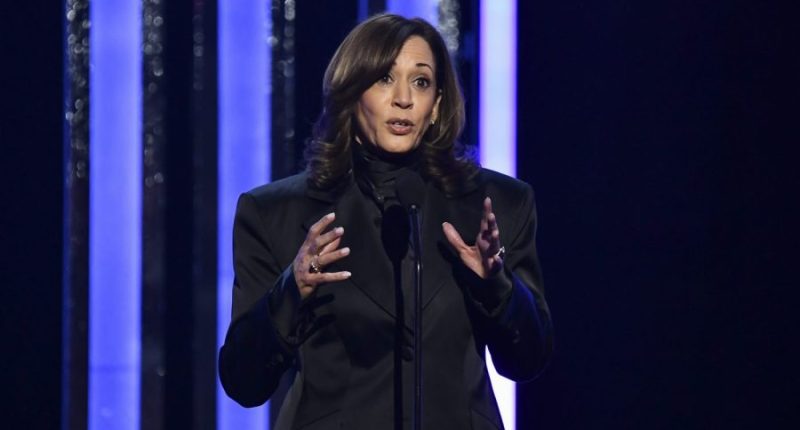Harris makes surprise post-election appearance with Met Gala debut