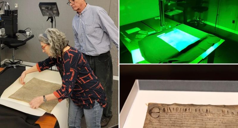 Harvard University's cheap copy of the Magna Carta turns out to be extremely rare royal document