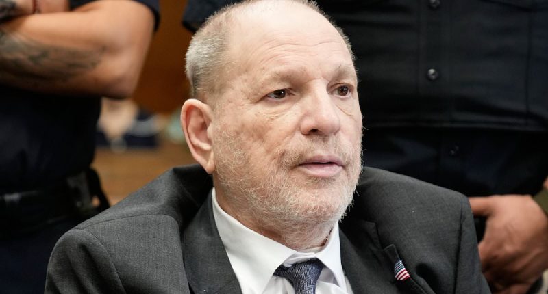 Harvey Weinstein's alleged victim reveals his claim about actresses