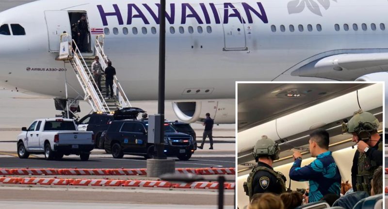 Hawaiian Airlines plane swarmed after flyer overheard 'making threats' in San Diego