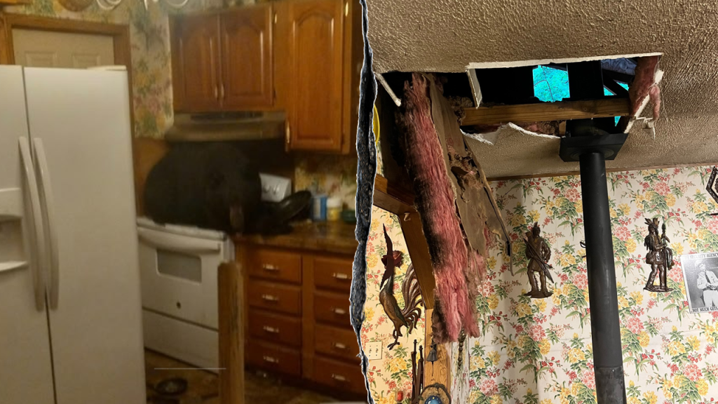 Homeowners get surprise visitor when black bear crashes through ceiling onto stove