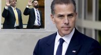 Hunter Biden abruptly drops lawsuit against IRS — a move whistleblowers say shows 'everything you need to know'