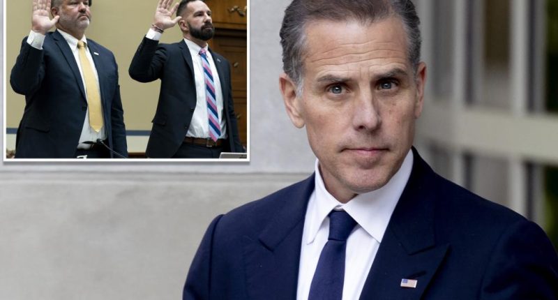 Hunter Biden abruptly drops lawsuit against IRS — a move whistleblowers say shows 'everything you need to know'