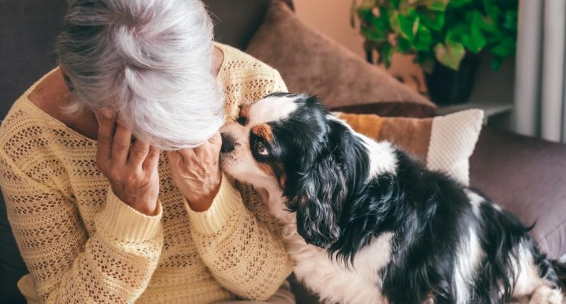 I'm in love with the much younger man I dog sit for