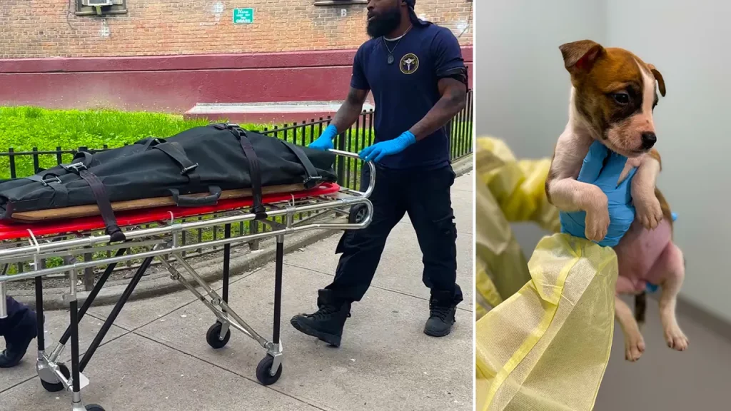 Infant found dead with dog bites was not killed by puppy: officials