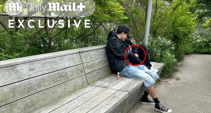 Intimate act could be any young lovers... it's world's hottest couple