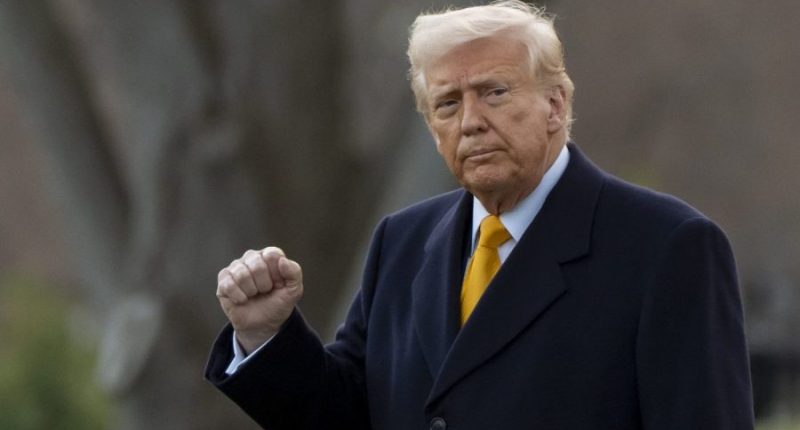 Is Trump’s battle against bureaucracy a game-changer or just a short-lived stunt? 