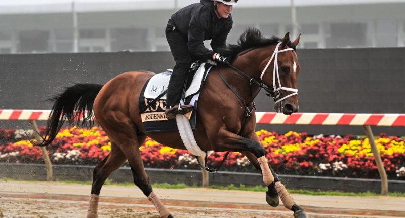 Journalism comes from behind to win the Preakness 2 weeks after finishing 2nd in the Kentucky Derby