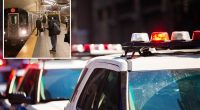 Knifed in fight over elevator blocking bike in NYC