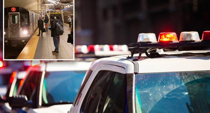 Knifed in fight over elevator blocking bike in NYC