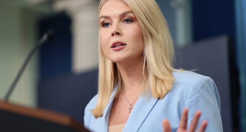 Leavitt says it's 'ridiculous' Trump is profiting off the presidency