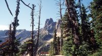 Lone survivor makes it to pay phone after 3 climbers fall to their death