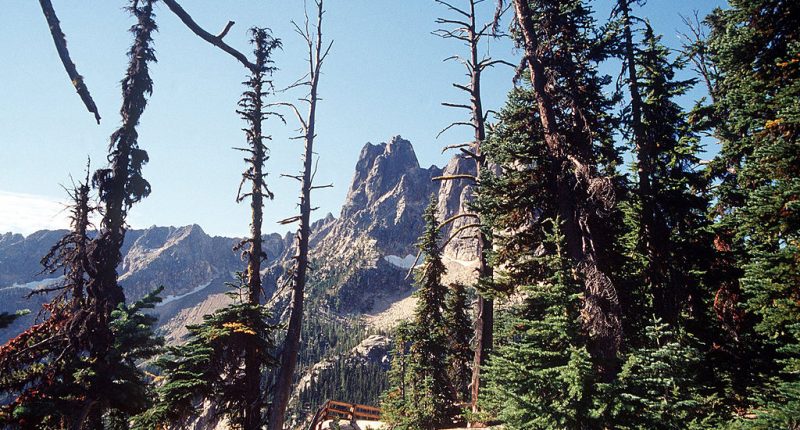 Lone survivor makes it to pay phone after 3 climbers fall to their death