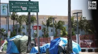 Los Angeles business owner blasts 'Baby Shark' on repeat to ward off homeless encampments