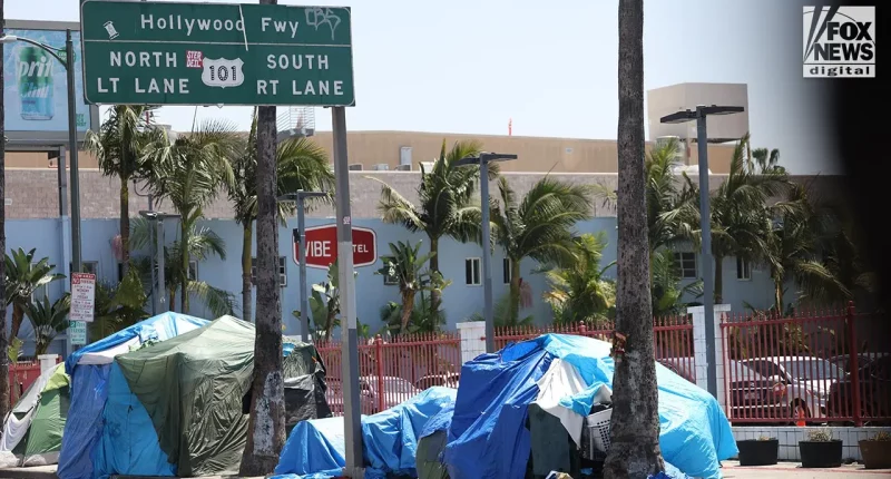 Los Angeles business owner blasts 'Baby Shark' on repeat to ward off homeless encampments