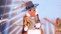 Lucky Duck Has Connections To Rita Ora