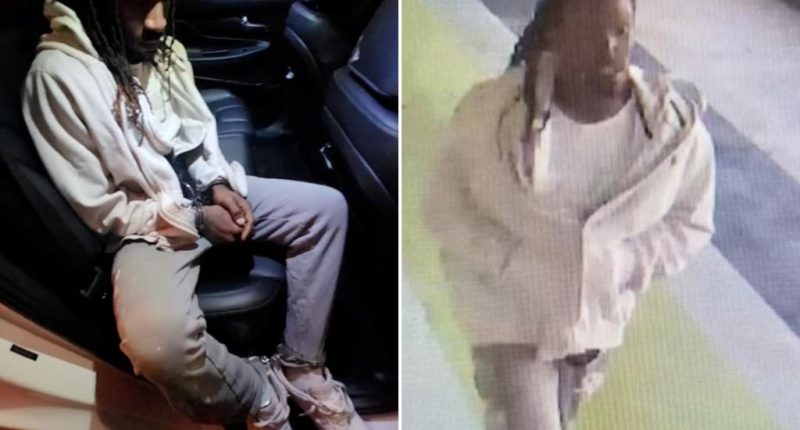 Manhunt after inmate escapes at Seattle airport, boards train