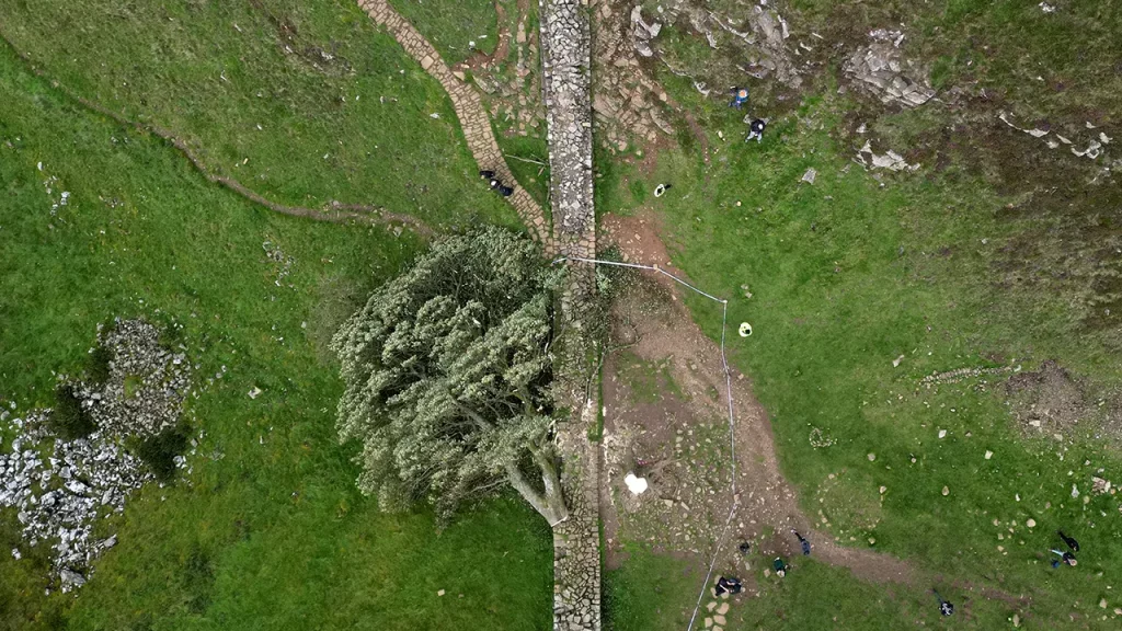 Men guilty of felling much-loved British 'Sycamore Gap' tree