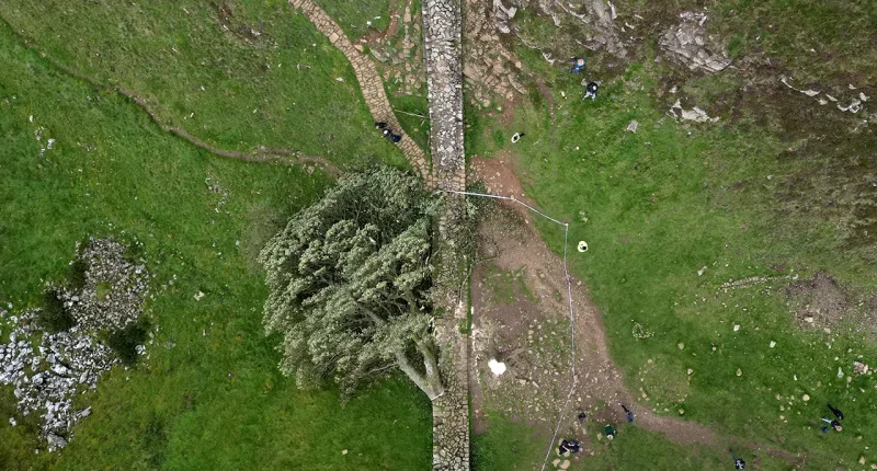 Men guilty of felling much-loved British 'Sycamore Gap' tree