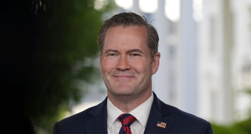 National Security Advisor Mike Waltz in a television interview at the White House.