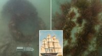 Missing Dutch merchant ship Koning Willem de Tweede found off coast of Australia