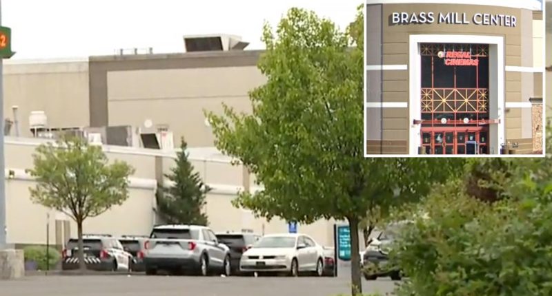 Multiple people shot at Connecticut mall, gunman still at large: reports