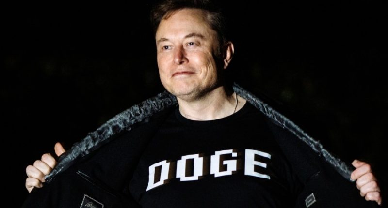 Musk says he's disappointed in 'big, beautiful bill,' saying it 'undermines' DOGE's work