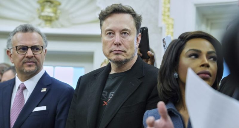 Musk thanks Trump as special government employee status 'comes to an end'