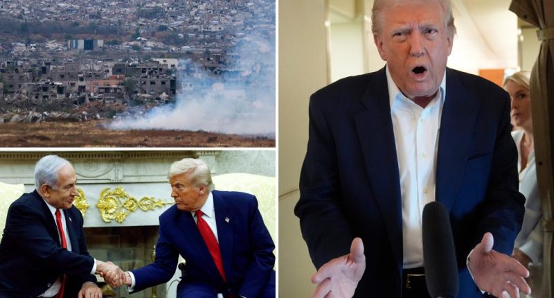 Muslim support for Democrats plunges as group opens to Trump's Gaza plan: poll