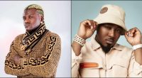 portable zazoo oleku ice prince