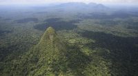 Aerial view of a forested mountain range.