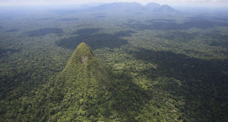 Aerial view of a forested mountain range.