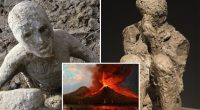 New Pompeii discovery reveals the tragic true extent of human suffering