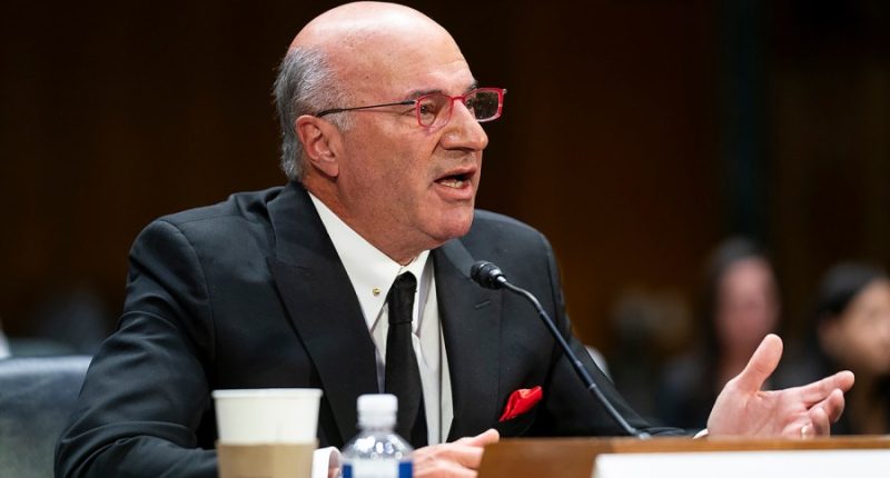 O'Leary bashes Trump's 'stupid' Harvard foreign student crackdown