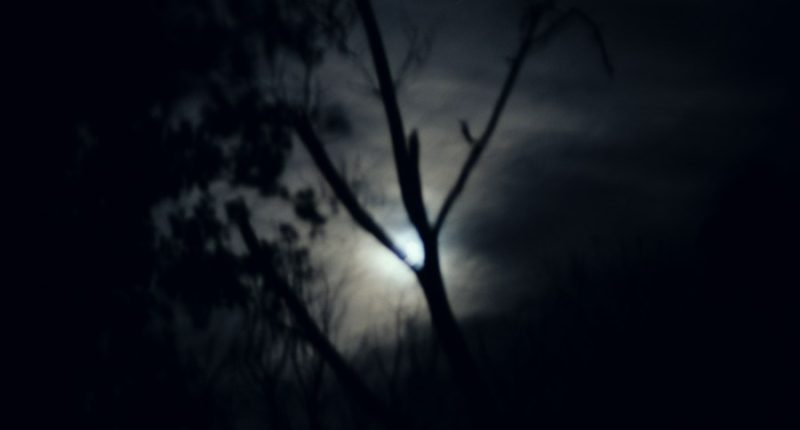 Person stabbed during early-morning fight in Homosassa woods, deputies say