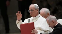 Pope Leo says family based on ‘union between a man and a woman,’ defends dignity of unborn