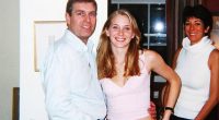 Prince Andrew's supporters gave us access to his papers. It backfired