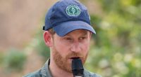 Prince Harry's African charity admits human rights abuses
