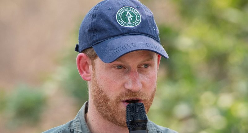 Prince Harry's African charity admits human rights abuses