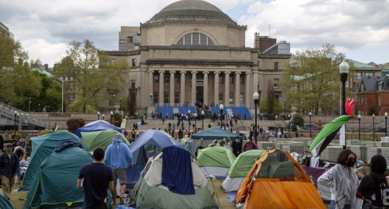 Pro-Palestinian protesters clash with security at Columbia University's main library