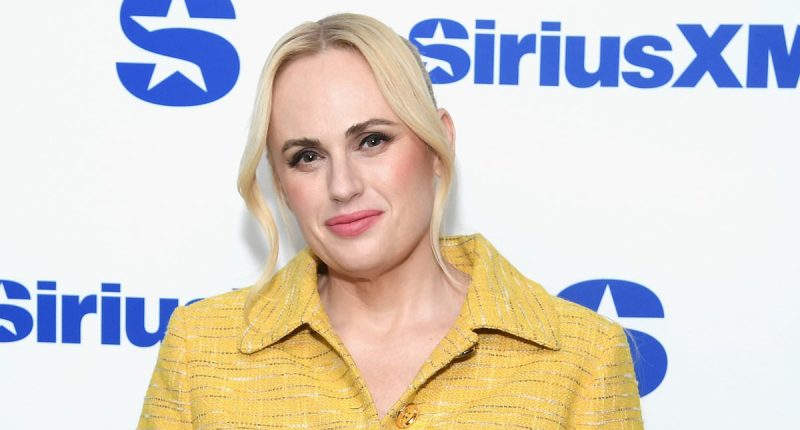 Rebel Wilson slams the star of her own film in scathing Instagram post