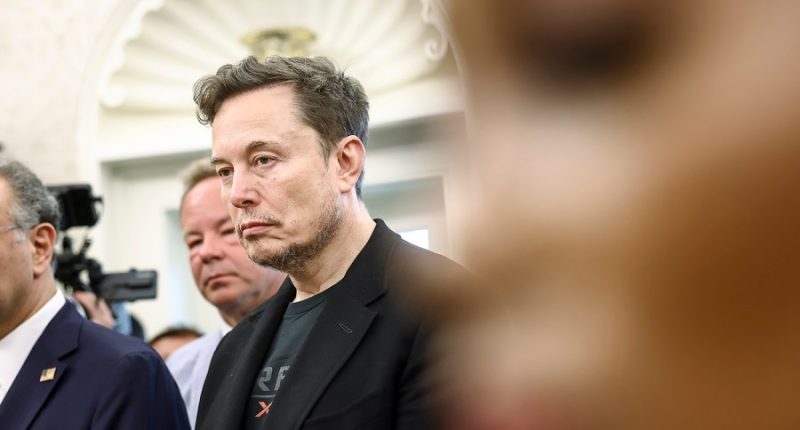 Republicans face a future without Elon Musk's money